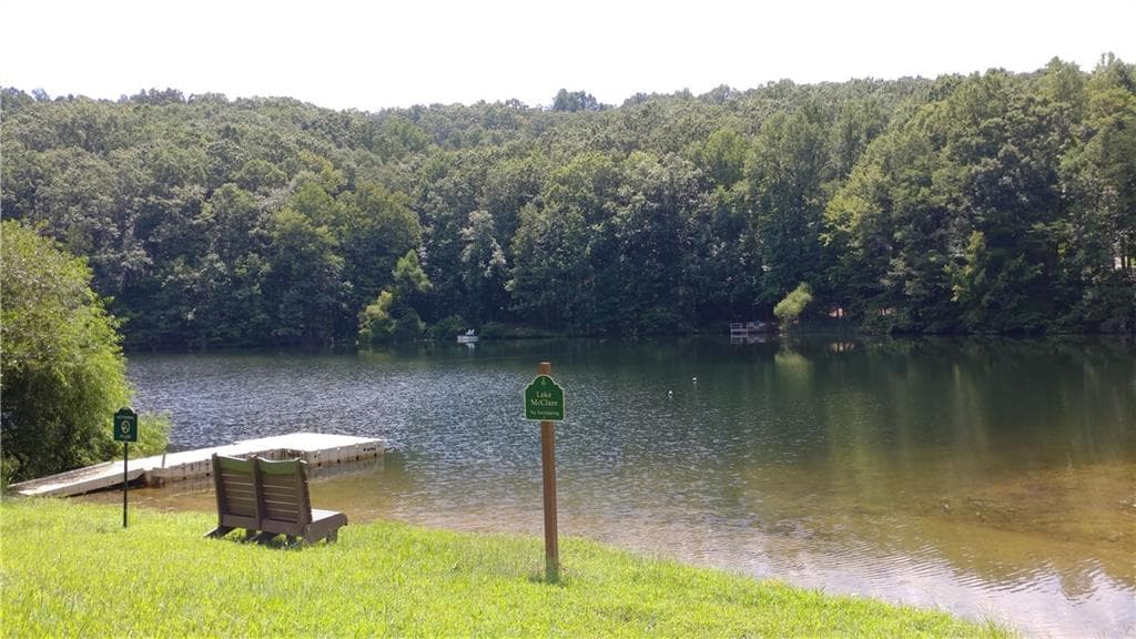 other for sale at 0 Goldmine Drive, Ellijay, GA 30536 — photo 10