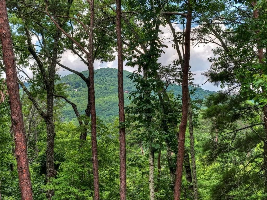 3 bedroom, 3 bathroom, 2,240 sq ft single family residence for sale at 120 Green Ridge Road, Blue Ridge, GA 30513 — photo 4