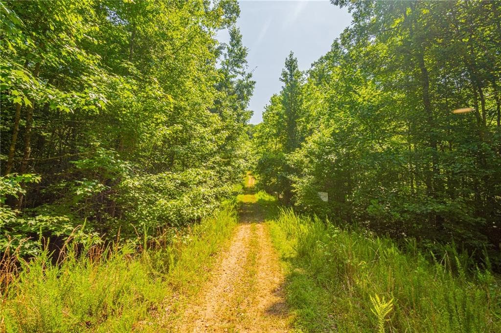 other for sale at 00 Old Cherokee Way, Dawsonville, GA 30534 — photo 7