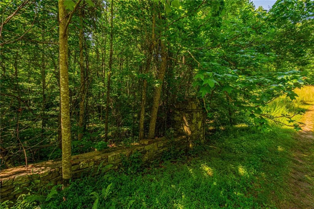 other for sale at 00 Old Cherokee Way, Dawsonville, GA 30534 — photo 9