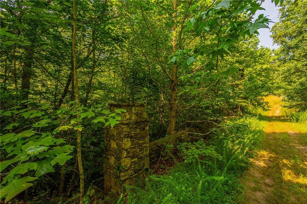 other for sale at 00 Old Cherokee Way, Dawsonville, GA 30534 — photo 3