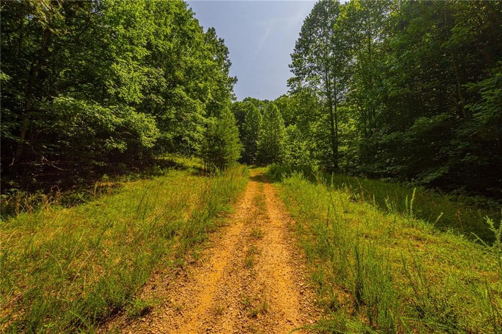 other for sale at 00 Old Cherokee Way, Dawsonville, GA 30534 — photo 10