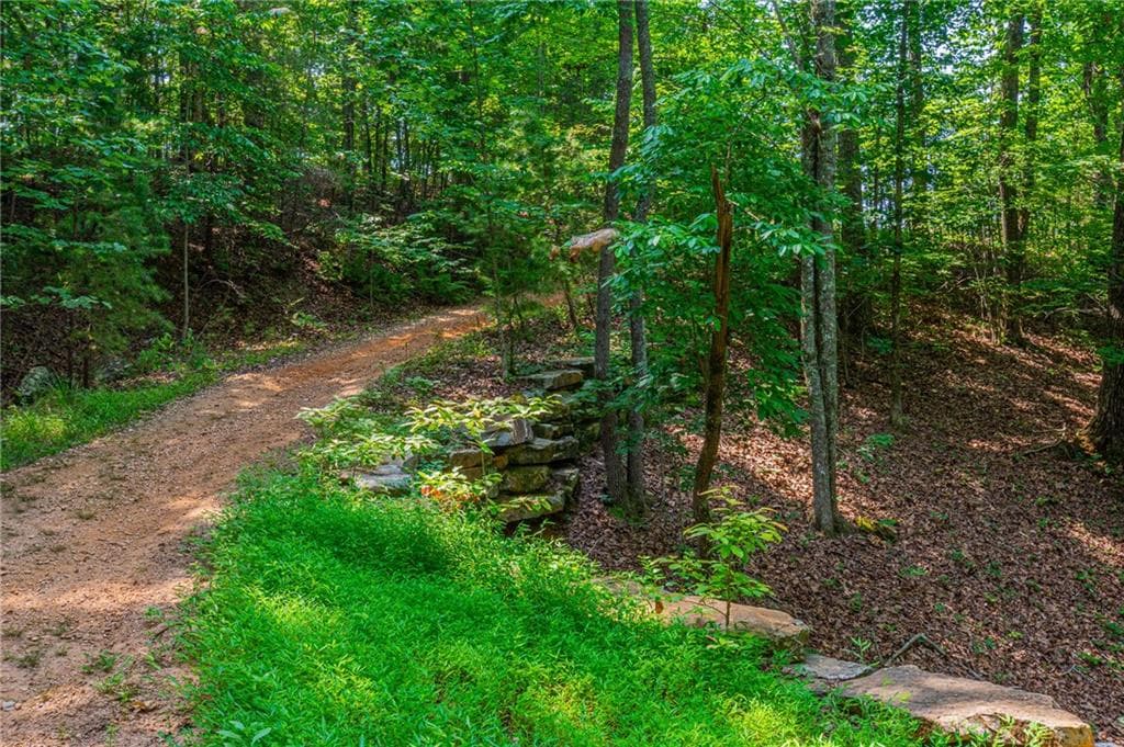 other for sale at 00 Old Cherokee Way, Dawsonville, GA 30534 — photo 5