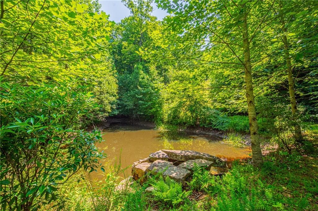 other for sale at 00 Old Cherokee Way, Dawsonville, GA 30534 — photo 4