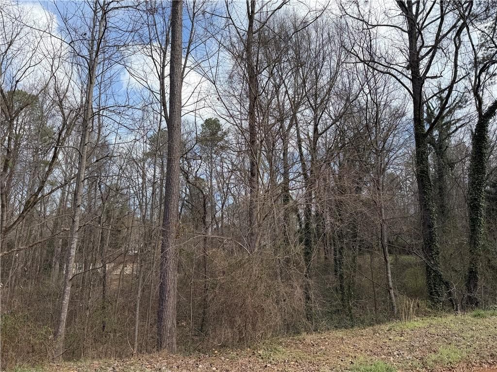 other for sale at 66 Red Top Circle, Emerson, GA 30137 — photo 2
