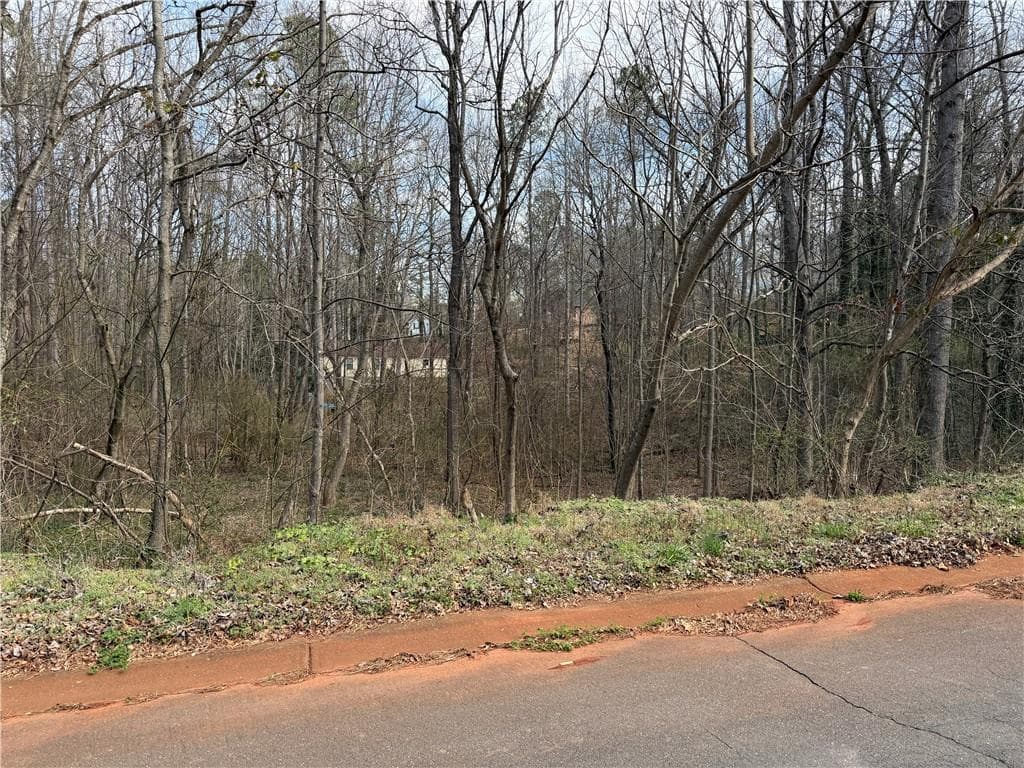 other for sale at 66 Red Top Circle, Emerson, GA 30137 — photo 3