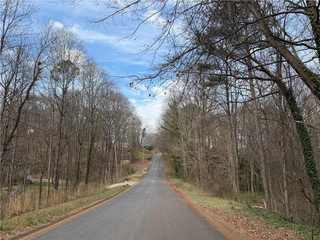 other for sale at 66 Red Top Circle, Emerson, GA 30137 — photo 4