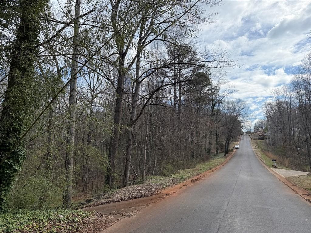 other for sale at 66 Red Top Circle, Emerson, GA 30137 — photo 5