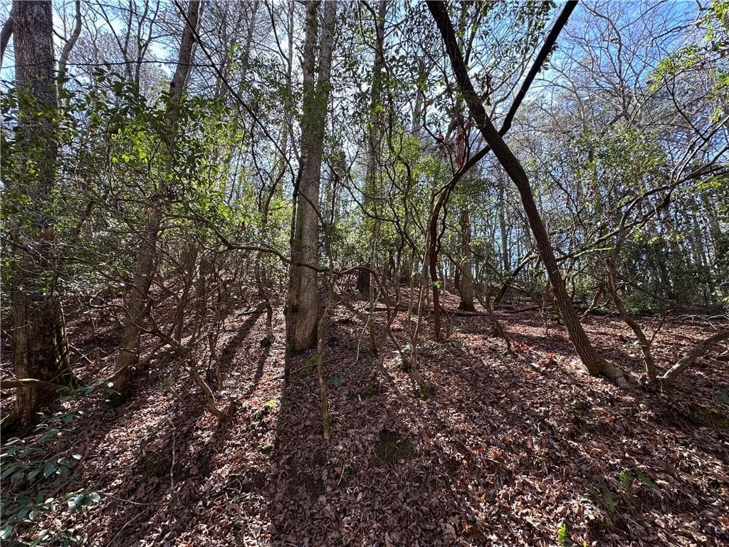 single family residence for sale at 0 Coffee Mill Run, Talking Rock, GA 30175 — photo 5