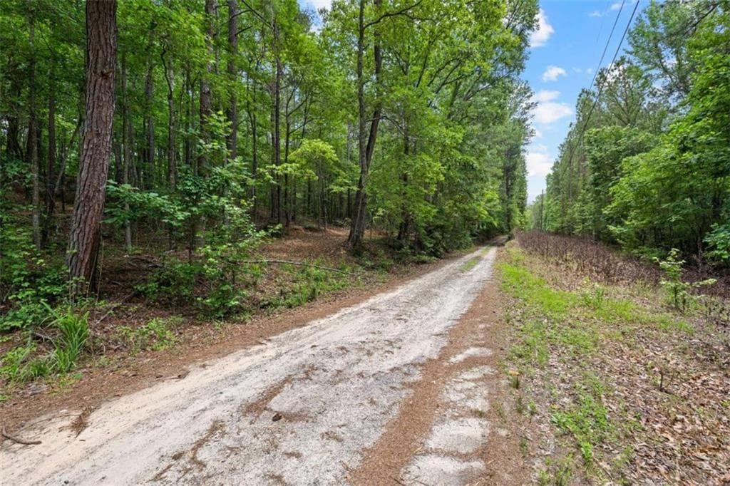 unimproved land for sale at 0 Terry Road, Fairburn, GA 30213 — photo 1 of 22