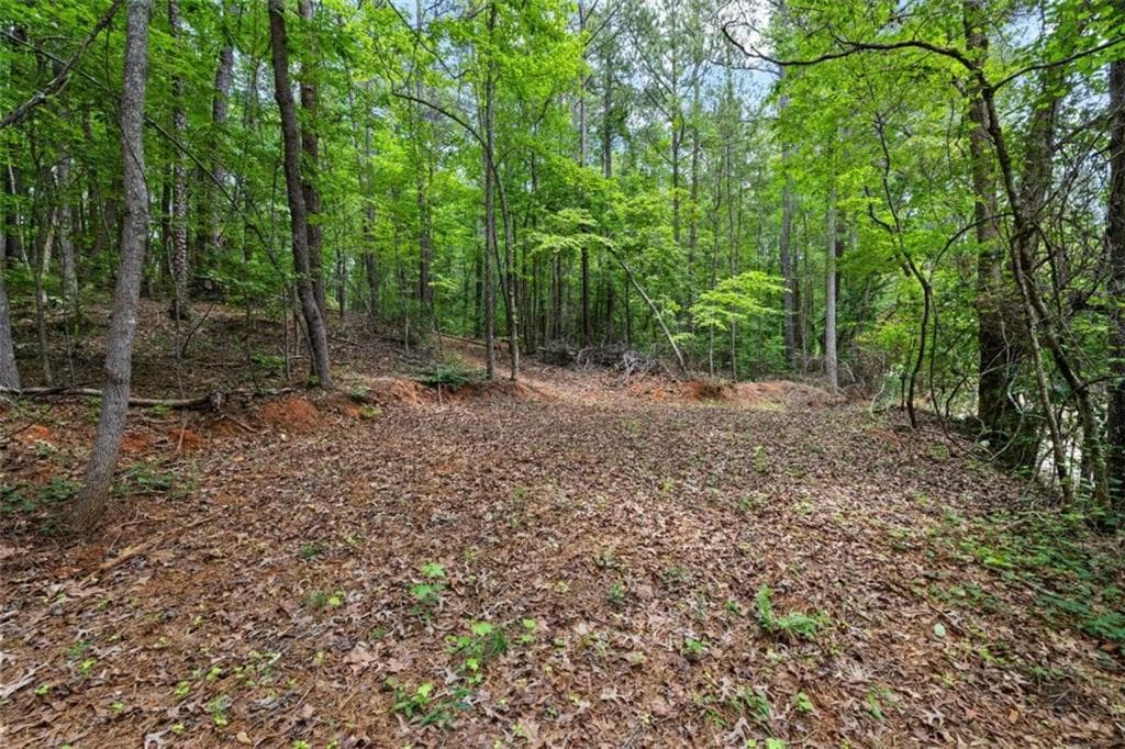 unimproved land for sale at 0 Terry Road, Fairburn, GA 30213 — photo 2