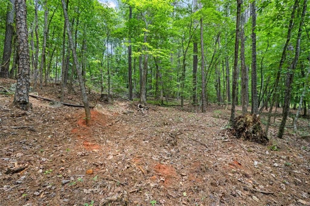 unimproved land for sale at 0 Terry Road, Fairburn, GA 30213 — photo 4