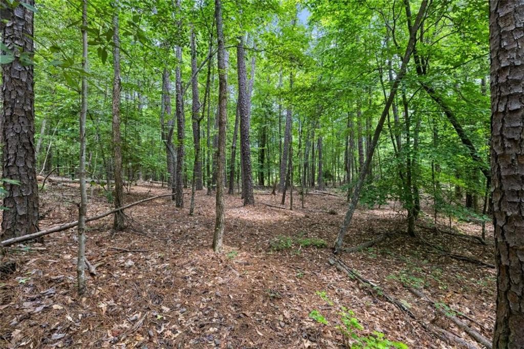 unimproved land for sale at 0 Terry Road, Fairburn, GA 30213 — photo 5