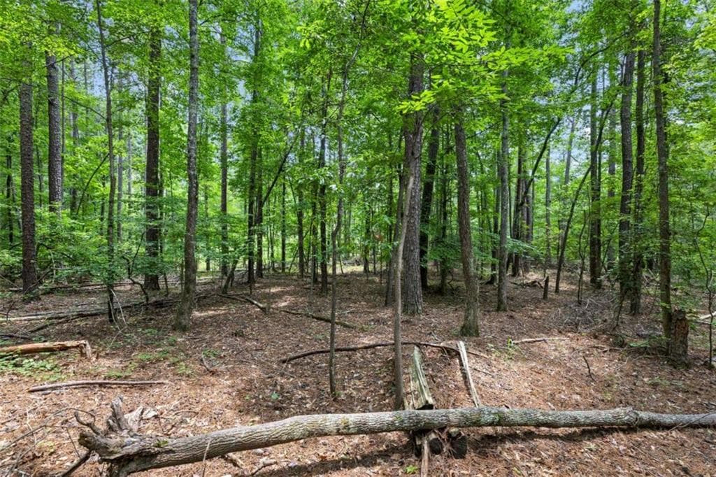 unimproved land for sale at 0 Terry Road, Fairburn, GA 30213 — photo 6