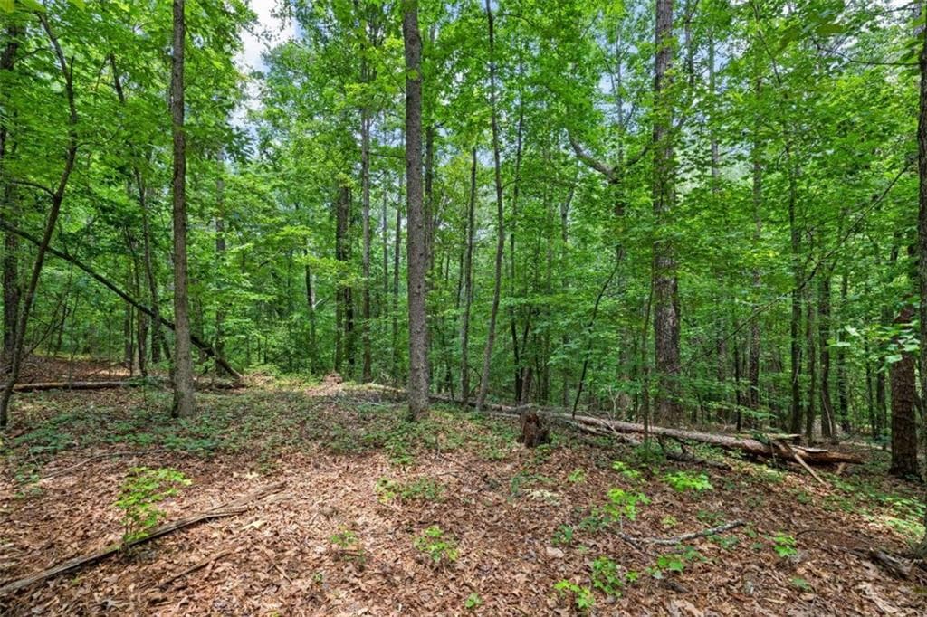 unimproved land for sale at 0 Terry Road, Fairburn, GA 30213 — photo 7
