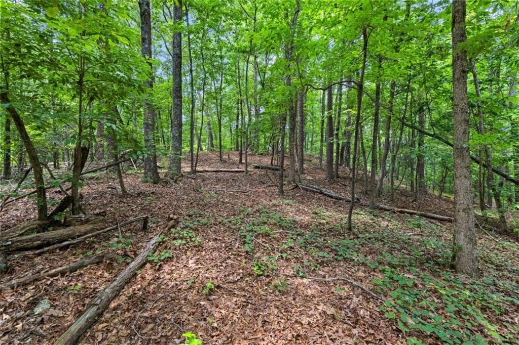 unimproved land for sale at 0 Terry Road, Fairburn, GA 30213 — photo 8