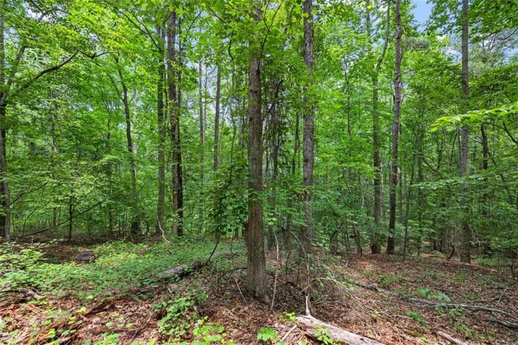 unimproved land for sale at 0 Terry Road, Fairburn, GA 30213 — photo 9