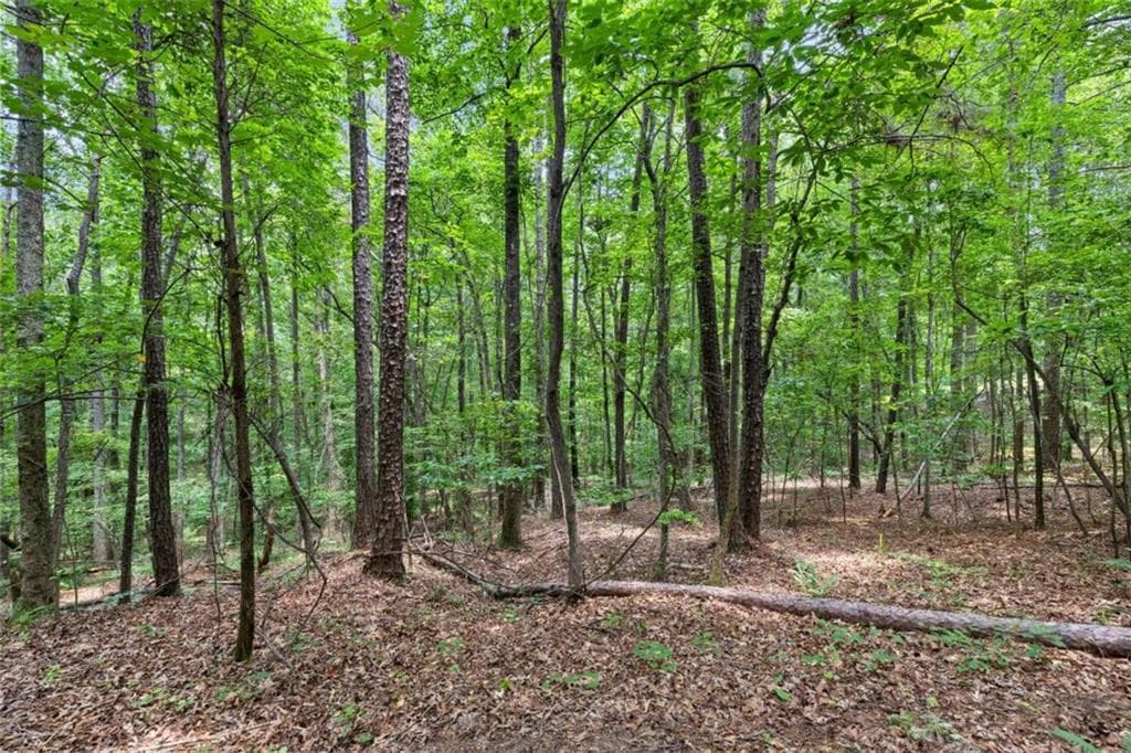 unimproved land for sale at 0 Terry Road, Fairburn, GA 30213 — photo 10