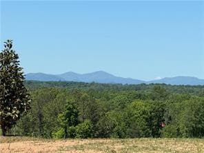 5 bedroom, 6 bathroom, 5,200 sq ft single family residence for sale at 5364 Price Road, Gainesville, GA 30506 — photo 6