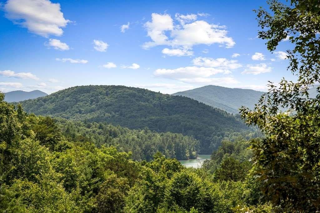 5 bedroom, 6 bathroom, 3,565 sq ft single family residence for sale at 93 Misty Mountain Trail, Morganton, GA 30560 — photo 4