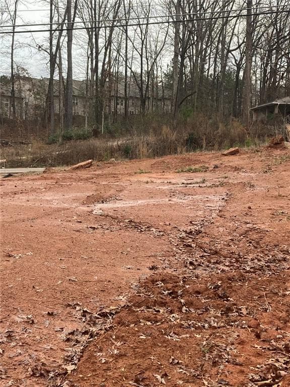 unimproved land for sale at 6661 Highway 42, Rex, GA 30273 — photo 3