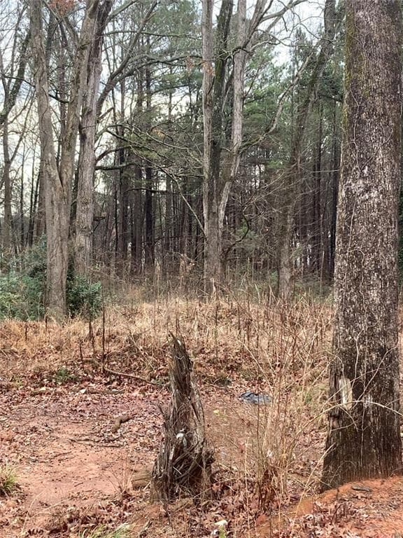unimproved land for sale at 6661 Highway 42, Rex, GA 30273 — photo 4