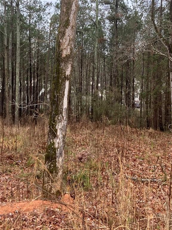unimproved land for sale at 6661 Highway 42, Rex, GA 30273 — photo 5