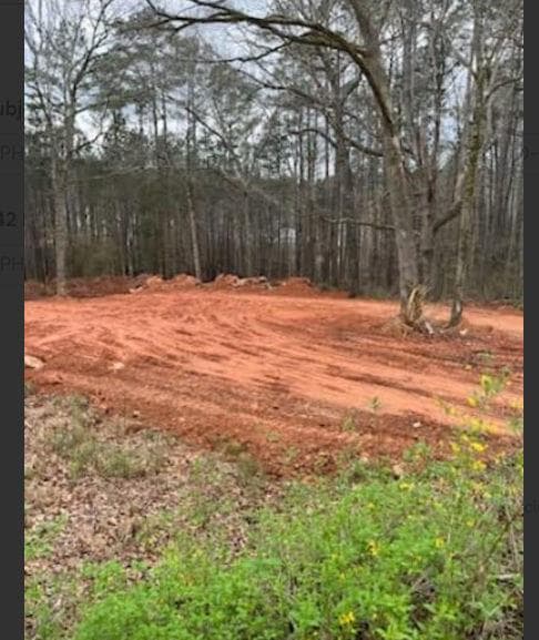 unimproved land for sale at 6661 Highway 42, Rex, GA 30273 — photo 7