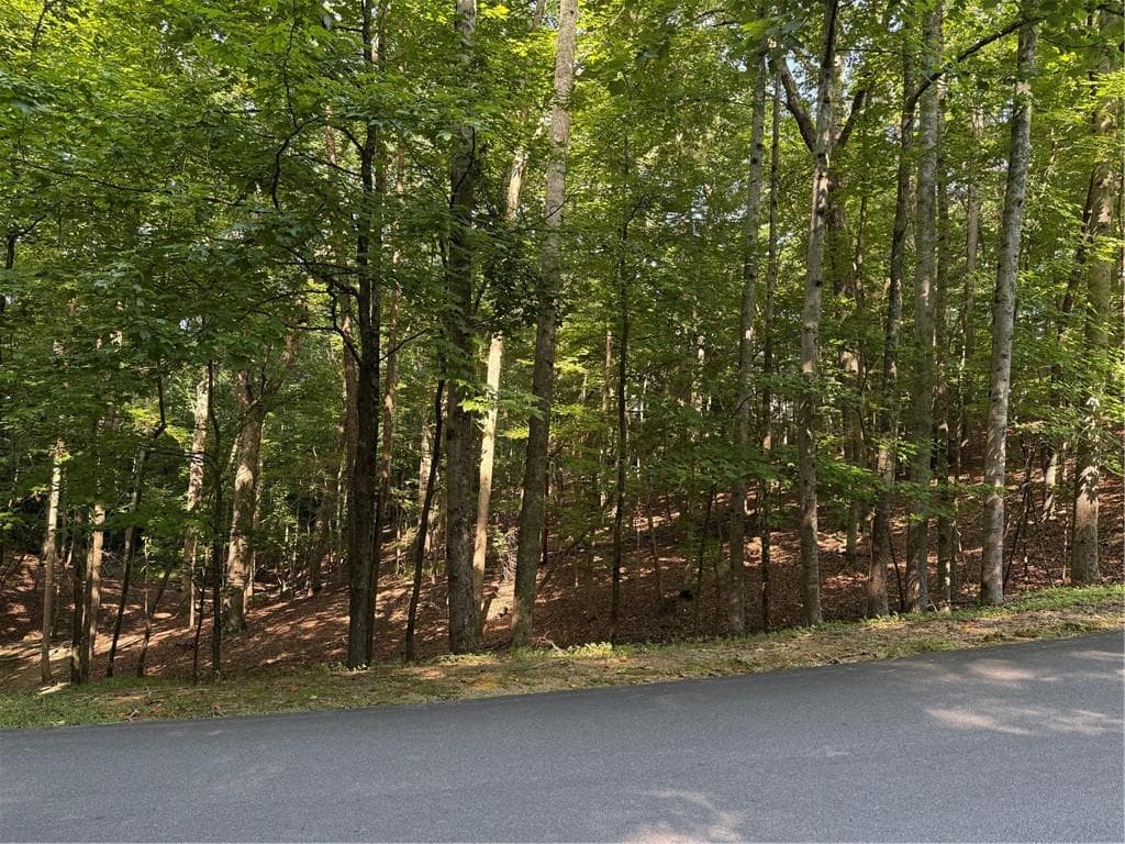 single family residence for sale at 20 Hillside Drive, Waleska, GA 30183 — photo 2