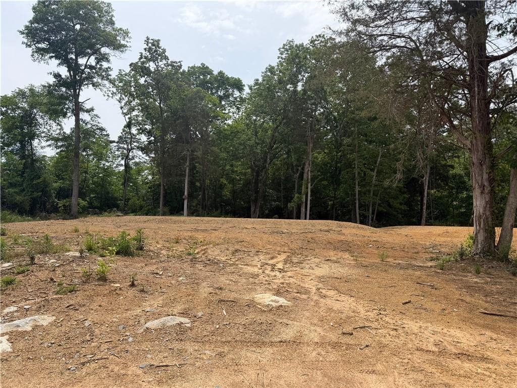 single family residence for sale at 0 Ronnie Road, Cedartown, GA 30125 — photo 4