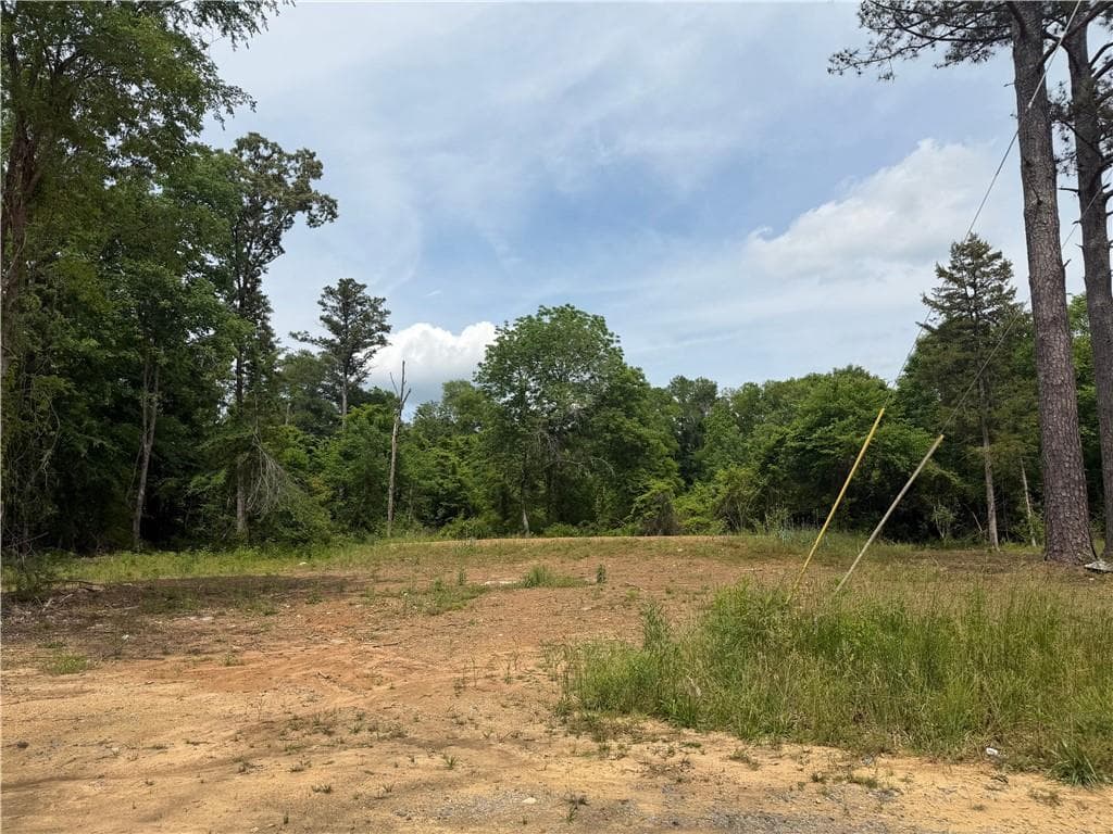 single family residence for sale at 0 Ronnie Road, Cedartown, GA 30125 — photo 7
