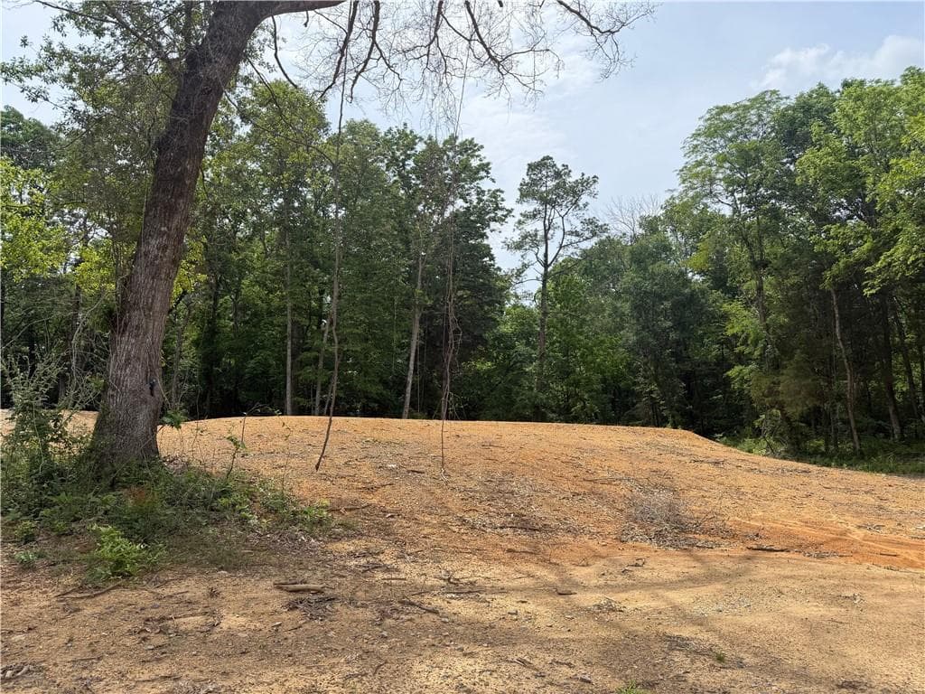single family residence for sale at 0 Ronnie Road, Cedartown, GA 30125 — photo 5