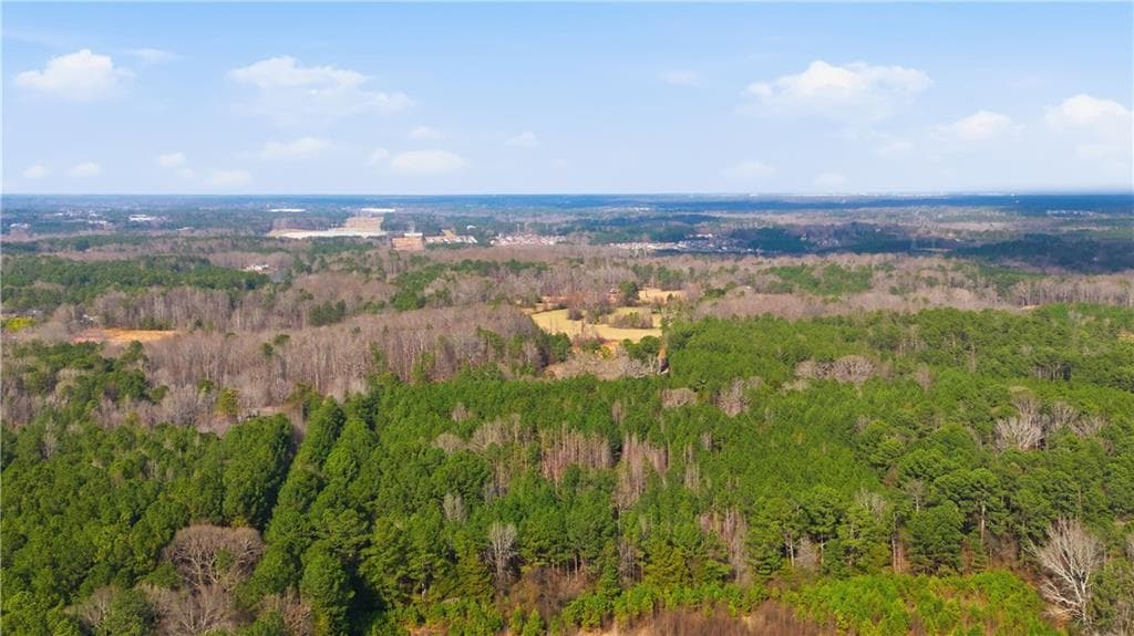 unimproved land for sale at 313 Wagon Wheel Trail, Fayetteville, GA 30214 — photo 4