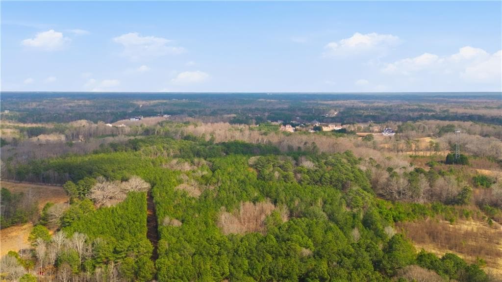 unimproved land for sale at 313 Wagon Wheel Trail, Fayetteville, GA 30214 — photo 6