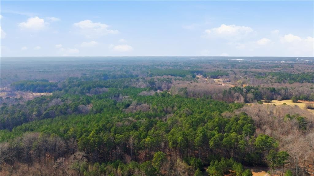 unimproved land for sale at 313 Wagon Wheel Trail, Fayetteville, GA 30214 — photo 8