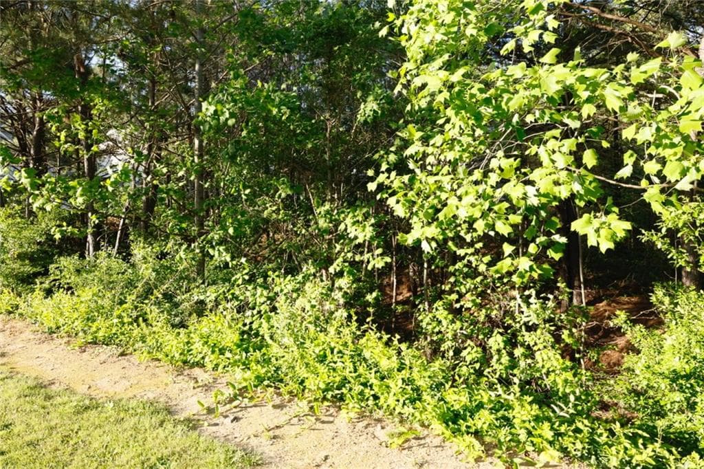 single family residence for sale at 0 Heritage Club, Dallas, GA 30132 — photo 2