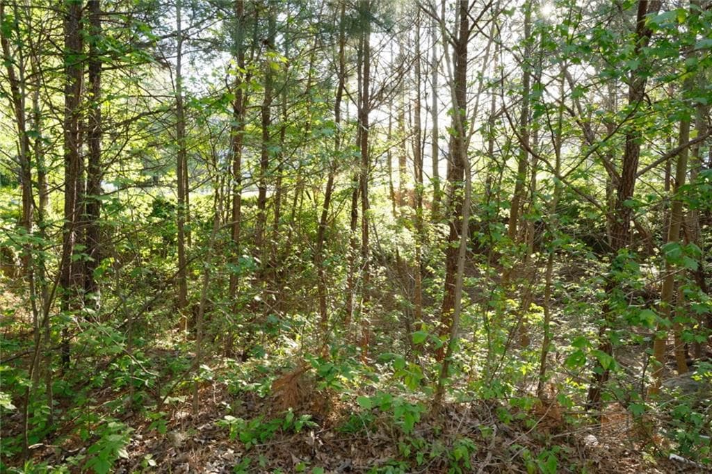 single family residence for sale at 0 Heritage Club, Dallas, GA 30132 — photo 3
