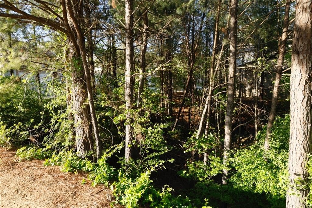 single family residence for sale at 0 Heritage Club, Dallas, GA 30132 — photo 4