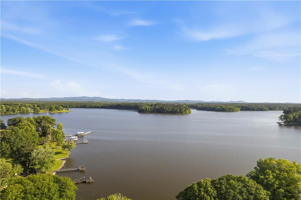 3 bedroom, 2 bathroom, 1,600 sq ft single family residence under contract at 165 County Road 783, Centre, AL 35960 — photo 9