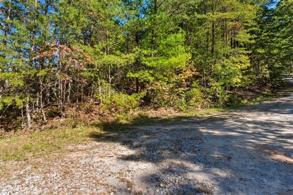 single family residence under contract at 1666 Hunter Drive, Ranger, GA 30734 — photo 3