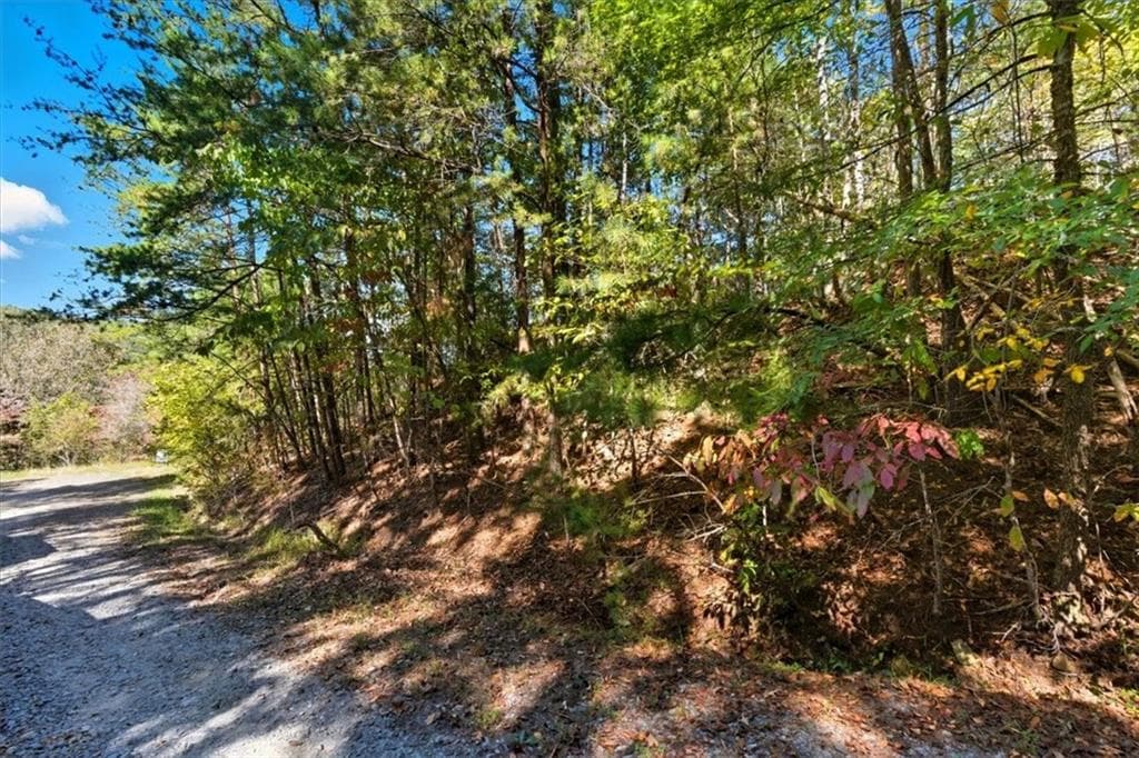 single family residence under contract at 1666 Hunter Drive, Ranger, GA 30734 — photo 6