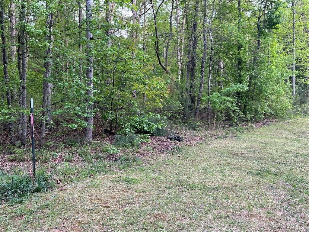unimproved land for sale at 0 Goldfinch Drive, Covington, GA 30016 — photo 7