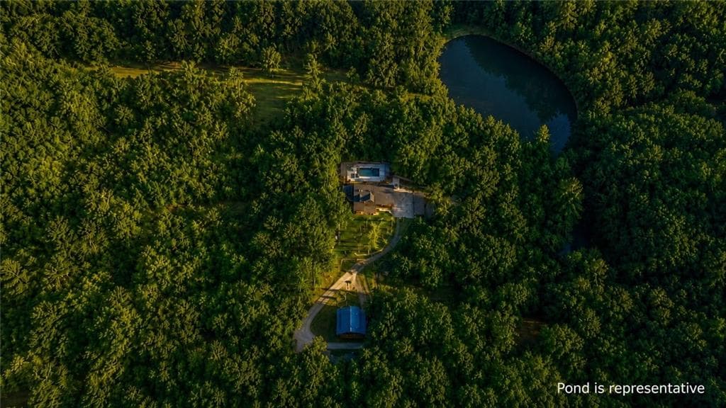 6 bedroom, 4 bathroom, 5,600 sq ft single family residence under contract at 178 Arp Road, Mineral Bluff, GA 30559 — photo 4