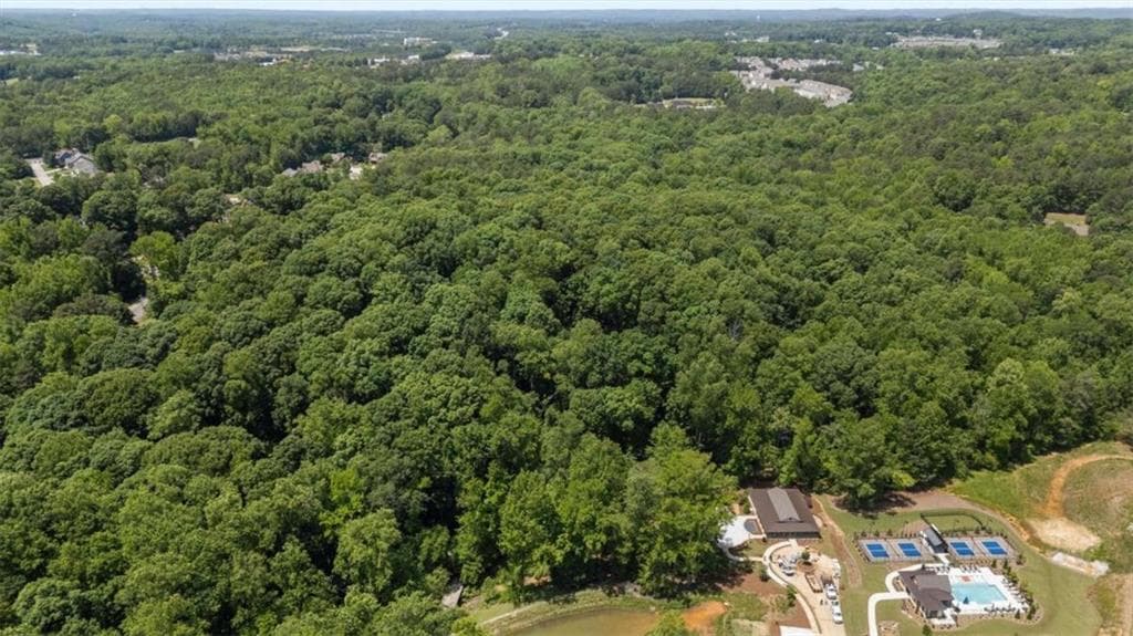 4 bedroom, 4 bathroom, 4,992 sq ft single family residence for sale at 477 Indian, Hiram, GA 30141 — photo 10
