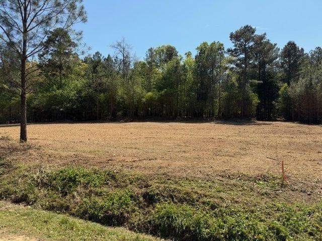 unimproved land for sale at 84 Popham Road Tract 2, Taylorsville, GA 30178 — photo 1 of 3