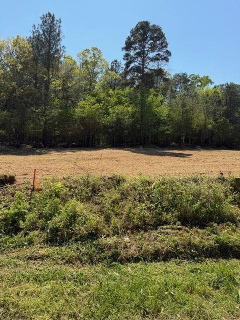 unimproved land for sale at 84 Popham Road Tract 2, Taylorsville, GA 30178 — photo 2