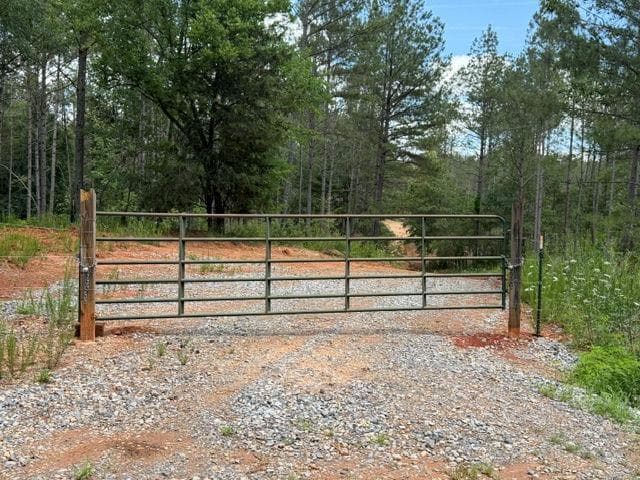 unimproved land for sale at 0 Iron Hill Road, Taylorsville, GA 30178 — photo 2