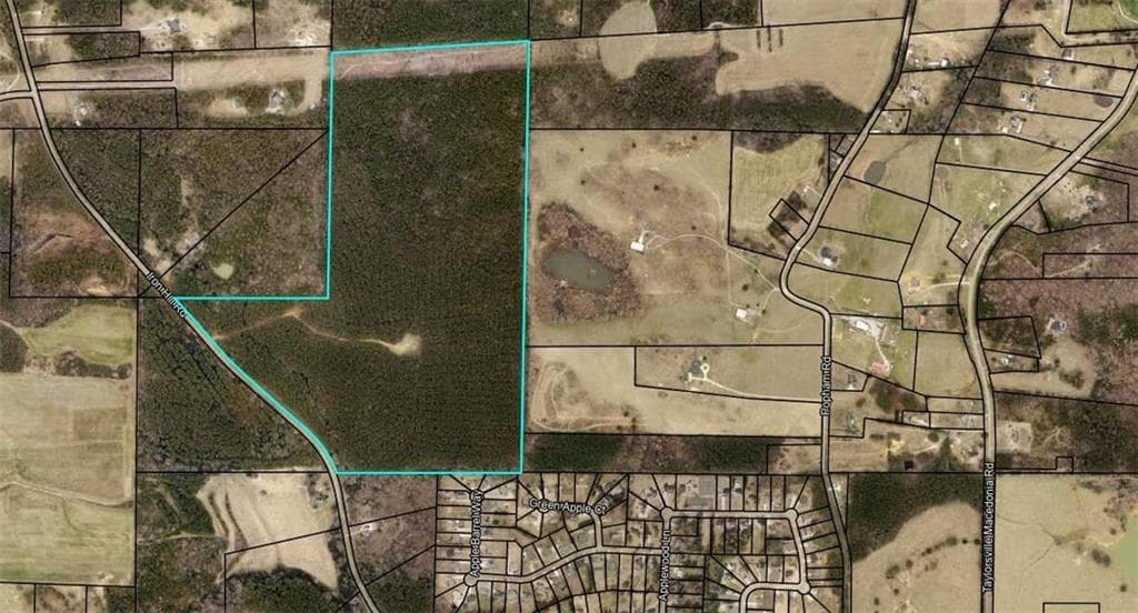 unimproved land for sale at 0 Iron Hill Road, Taylorsville, GA 30178 — photo 3