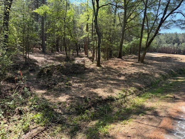 unimproved land for sale at 84 Popham Road Tract 1, Taylorsville, GA 30178 — photo 2