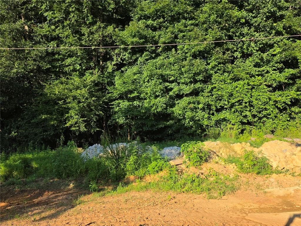 other for sale at 0 Maxham Road, Austell, GA 30168 — photo 3